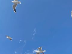 -海埂大坝