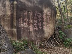 -云岫谷游猎自然风景区