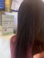 -YESIDO椰岛造型