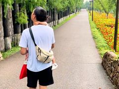 -乌村