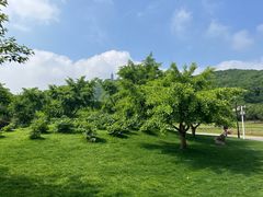 -苏州上方山国家森林公园