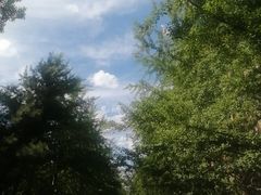 -辽宁大学(崇山校区)