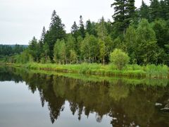 -五营红松林海景区