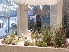 -春树下·树屋花房西餐厅(罍街AS1980店)