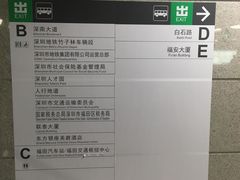 -竹子林(地铁站)