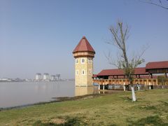 -九龙湖公园