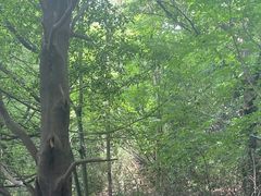 -白马涧龙池景区