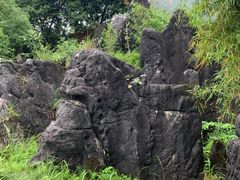 -玉石林风景区