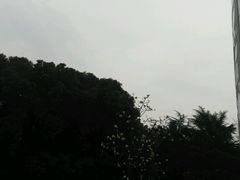 -宋庆龄陵园