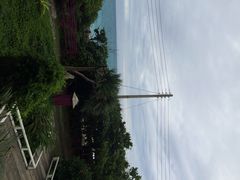 原野牧场-原野牧场