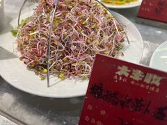 糖醋水萝卜苗-大丰收海鲜地方菜馆