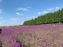 -嘉北郊野公园