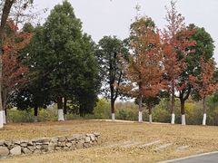 -盘龙城国家考古遗址公园