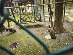 -黄海国家森林公园