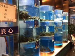-香坝坝鲜鱼火锅(春熙路店)