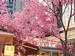 -首开·龙湖成都西宸天街