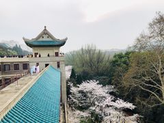 -武汉大学-樱园
