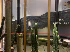 -几荷·恰似故人来(秀水广场店)
