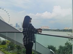 -新加坡摩天观景轮