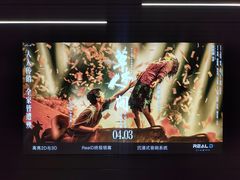 -奥斯卡升龙国际影城(RealD Cinema)