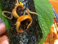 -红辣椒八爪鱼特色韩国料理