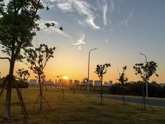 -艾溪湖湿地公园