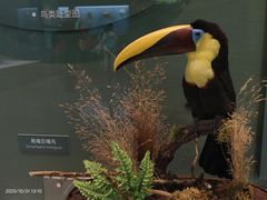 -国家自然博物馆