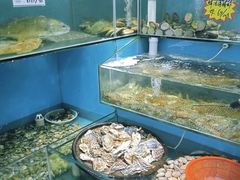 水产区-港畔赶海蒸汽海鲜烧烤自助(仙螺岛店)