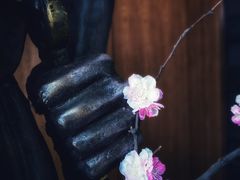 -月下料理(楷林IFC店)