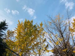-西南交通大学(九里校区)