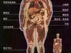 -健龙森俱乐部·游泳·健身·羽毛球综合体育馆