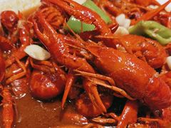 -杨氏青龙虾·羊蝎子(珠江路店)