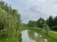 -莫子山公园