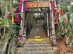 -西双版纳原始森林公园