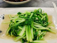 鸡油炒小白菜-蔼若春.传承三十年云南菜(金碧公园店)