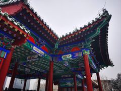 -莲花池公园