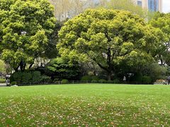 -静安公园(静安寺街道)