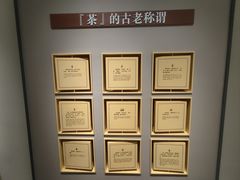 -中国茶叶博物馆(双峰馆区)
