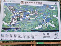 -野象谷景区