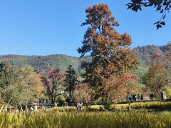 -塔川景区