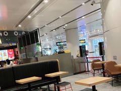大堂-麦当劳(北京大兴机场二层国内到达(安检外)店)