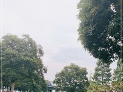 -桐乡凤凰湖