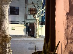 -Apollo·西班牙小酒馆(安福路店)