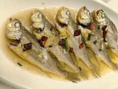 -杨记海鲜楼(三门黑金冠店)