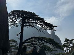 -黄山风景区