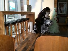 大堂-ZOO COFFEE 动物园咖啡(亦庄店)