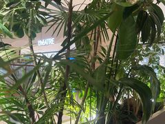 -théATRE 茶聚场(王府中環店)