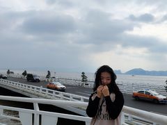 -演武大桥观景平台