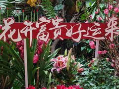 -正佳雨林生态植物园