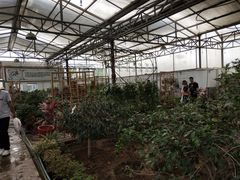 -石家庄市植物园